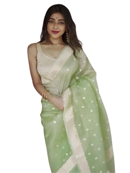Women's Cotton Printed Saree With Unstitched Blouse 5.5Mtr (Pista)